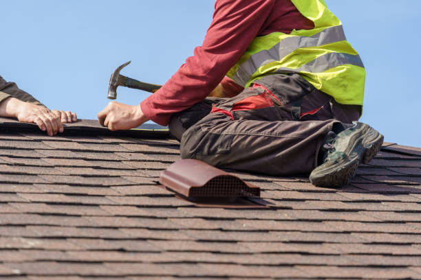 Best Roof Gutter Cleaning  in Minonk, IL