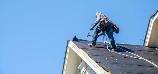 Best Roof Waterproofing Services  in Minonk, IL